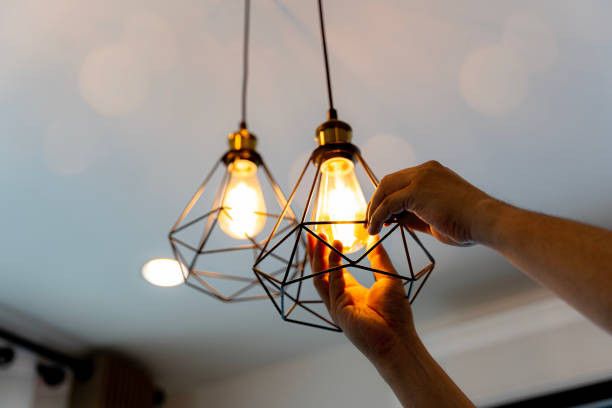 Best Electrical Contractors for Businesses  in Maple Plain, MN