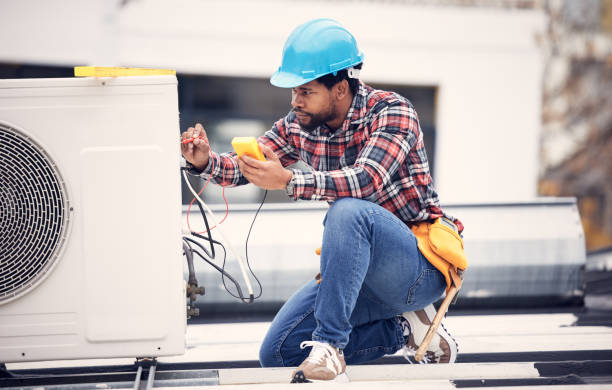 Best Affordable Electrician  in Maple Plain, MN
